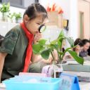 当校园里的植物会“说话”，它们会如何自我介绍？| 《慧·探究》PBL课程